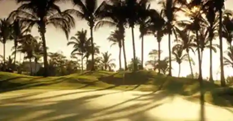 https://www.sqnescapes.sqngolf.com/The Golf Course Acapulco